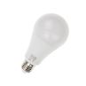 /uploads/201922623/small/smart-light-bulbs33270340279.jpg